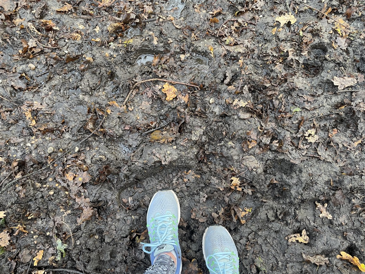 Navigating Career Trade-Offs: Finding Your Best&nbsp;Path