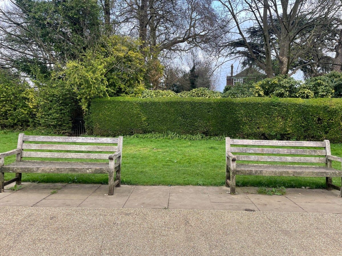 Breaking Free from Comparison: Taking Stock and Finding&nbsp;Gratitude