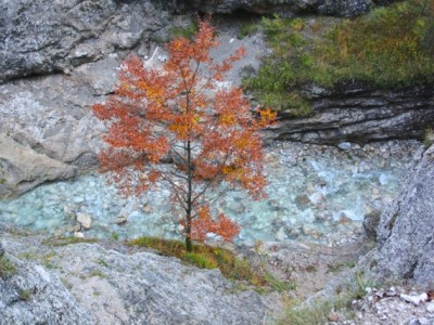 A hard learned lesson that shaped me as a&nbsp;coach