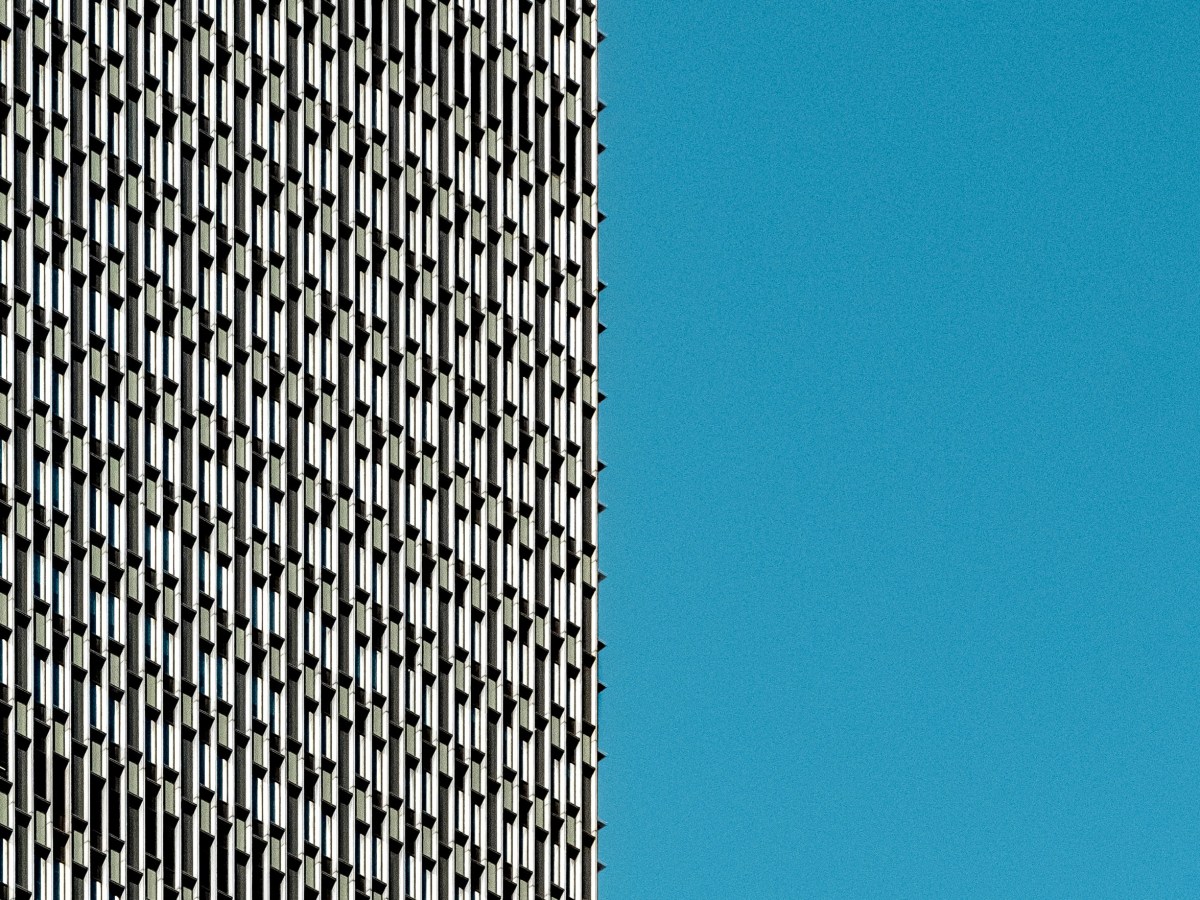 ‘Blank canvas’ coaching or structure and direction? 